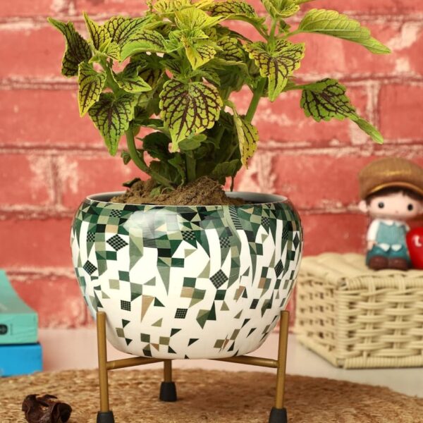 Indoor Metallic Pot – 1206 – White and Green (O)